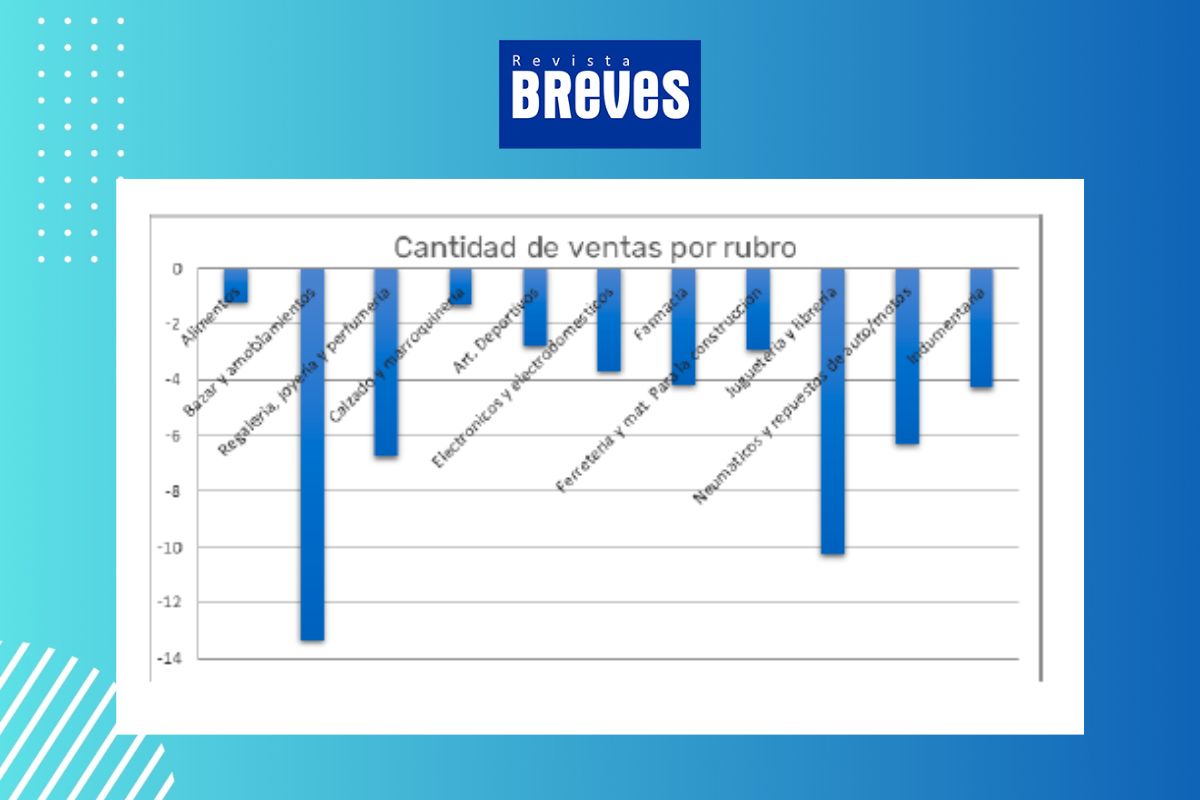 Caída del 5,19% en ventas minoristas de Río Cuarto: ¿qué sectores lideran la baja? - imagen 2